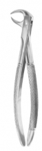  Fig. 86A lower molars 